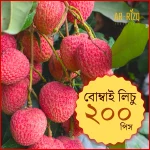 ঈশ্বরদীর বোম্বাই লিচু প্রিমিয়াম ২০০ পিস || Ishwardi Bombay Lichi Premium
