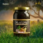 Mushaffa - The ultimate healing mix / 250gm